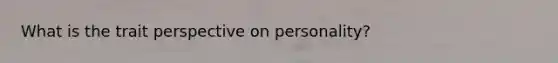 What is the trait perspective on personality?