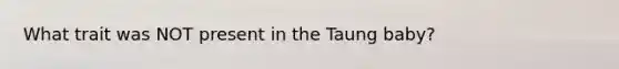 What trait was NOT present in the Taung baby?