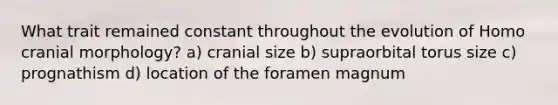 What trait remained constant throughout the evolution of Homo cranial morphology? a) cranial size b) supraorbital torus size c) prognathism d) location of the foramen magnum