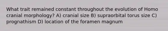 What trait remained constant throughout the evolution of Homo cranial morphology? A) cranial size B) supraorbital torus size C) prognathism D) location of the foramen magnum