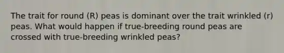 The trait for round (R) peas is dominant over the trait wrinkled (r) peas. What would happen if true-breeding round peas are crossed with true-breeding wrinkled peas?