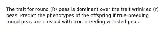 The trait for round (R) peas is dominant over the trait wrinkled (r) peas. Predict the phenotypes of the offspring if true-breeding round peas are crossed with true-breeding wrinkled peas