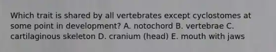 Which trait is shared by all vertebrates except cyclostomes at some point in development? A. notochord B. vertebrae C. cartilaginous skeleton D. cranium (head) E. mouth with jaws