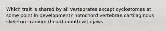 Which trait is shared by all vertebrates except cyclostomes at some point in development? notochord vertebrae cartilaginous skeleton cranium (head) mouth with jaws