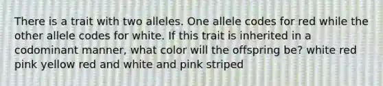 There is a trait with two alleles. One allele codes for red while the other allele codes for white. If this trait is inherited in a codominant manner, what color will the offspring be? white red pink yellow red and white and pink striped