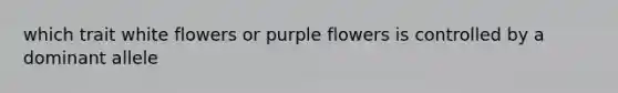 which trait white flowers or purple flowers is controlled by a dominant allele