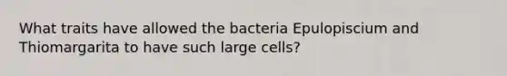 What traits have allowed the bacteria Epulopiscium and Thiomargarita to have such large cells?