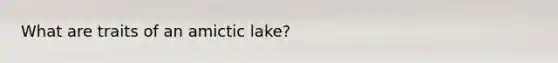 What are traits of an amictic lake?