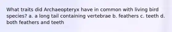 What traits did Archaeopteryx have in common with living bird species? a. a long tail containing vertebrae b. feathers c. teeth d. both feathers and teeth