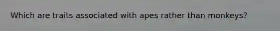 Which are traits associated with apes rather than monkeys?