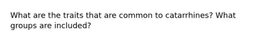 What are the traits that are common to catarrhines? What groups are included?