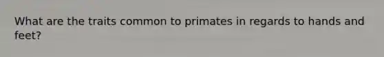 What are the traits common to primates in regards to hands and feet?