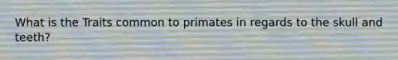 What is the Traits common to primates in regards to the skull and teeth?