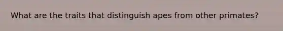 What are the traits that distinguish apes from other primates?