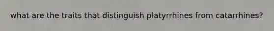 what are the traits that distinguish platyrrhines from catarrhines?