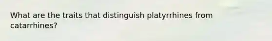 What are the traits that distinguish platyrrhines from catarrhines?