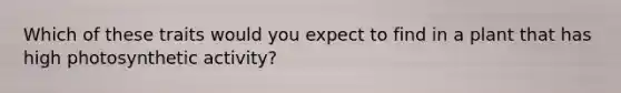 Which of these traits would you expect to find in a plant that has high photosynthetic activity?