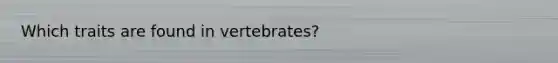 Which traits are found in vertebrates?