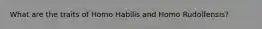 What are the traits of Homo Habilis and Homo Rudolfensis?