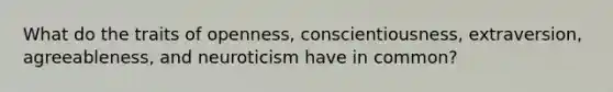 What do the traits of openness, conscientiousness, extraversion, agreeableness, and neuroticism have in common?