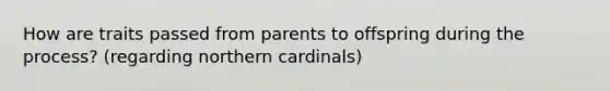 How are traits passed from parents to offspring during the process? (regarding northern cardinals)