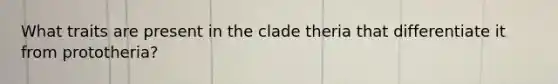 What traits are present in the clade theria that differentiate it from prototheria?