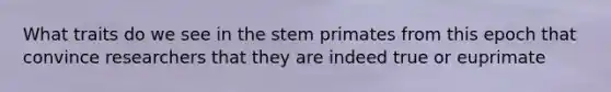 What traits do we see in the stem primates from this epoch that convince researchers that they are indeed true or euprimate