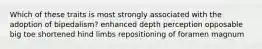 Which of these traits is most strongly associated with the adoption of bipedalism? enhanced depth perception opposable big toe shortened hind limbs repositioning of foramen magnum
