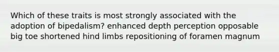 Which of these traits is most strongly associated with the adoption of bipedalism? enhanced depth perception opposable big toe shortened hind limbs repositioning of foramen magnum