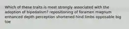 Which of these traits is most strongly associated with the adoption of bipedalism? repositioning of foramen magnum enhanced depth perception shortened hind limbs opposable big toe
