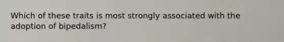 Which of these traits is most strongly associated with the adoption of bipedalism?