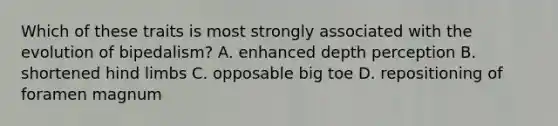 Which of these traits is most strongly associated with the evolution of bipedalism? A. enhanced depth perception B. shortened hind limbs C. opposable big toe D. repositioning of foramen magnum