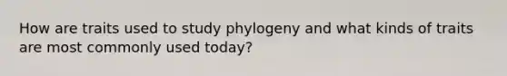 How are traits used to study phylogeny and what kinds of traits are most commonly used today?