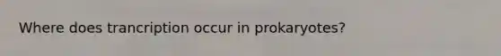 Where does trancription occur in prokaryotes?