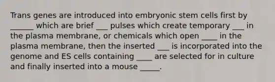 Trans genes are introduced into embryonic stem cells first by ______ which are brief ___ pulses which create temporary ___ in the plasma membrane, or chemicals which open ____ in the plasma membrane, then the inserted ___ is incorporated into the genome and ES cells containing ____ are selected for in culture and finally inserted into a mouse _____.