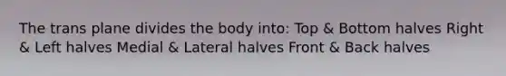 The trans plane divides the body into: Top & Bottom halves Right & Left halves Medial & Lateral halves Front & Back halves