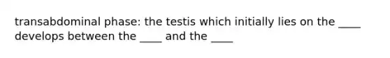 transabdominal phase: the testis which initially lies on the ____ develops between the ____ and the ____