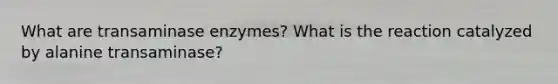 What are transaminase enzymes? What is the reaction catalyzed by alanine transaminase?