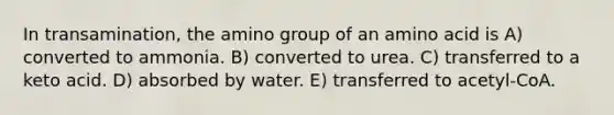 In transamination, the amino group of an amino acid is A) converted to ammonia. B) converted to urea. C) transferred to a keto acid. D) absorbed by water. E) transferred to acetyl-CoA.