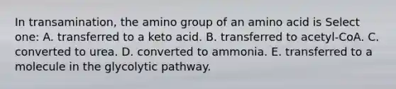 In transamination, the amino group of an amino acid is Select one: A. transferred to a keto acid. B. transferred to acetyl-CoA. C. converted to urea. D. converted to ammonia. E. transferred to a molecule in the glycolytic pathway.