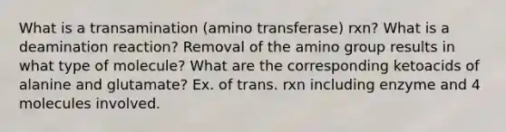 What is a transamination (amino transferase) rxn? What is a deamination reaction? Removal of the amino group results in what type of molecule? What are the corresponding ketoacids of alanine and glutamate? Ex. of trans. rxn including enzyme and 4 molecules involved.