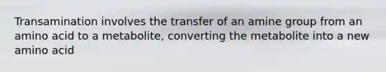 Transamination involves the transfer of an amine group from an amino acid to a metabolite, converting the metabolite into a new amino acid