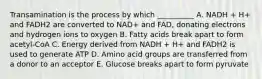 Transamination is the process by which __________ A. NADH + H+ and FADH2 are converted to NAD+ and FAD, donating electrons and hydrogen ions to oxygen B. Fatty acids break apart to form acetyl-CoA C. Energy derived from NADH + H+ and FADH2 is used to generate ATP D. Amino acid groups are transferred from a donor to an acceptor E. Glucose breaks apart to form pyruvate