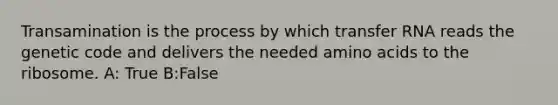 Transamination is the process by which transfer RNA reads the genetic code and delivers the needed amino acids to the ribosome. A: True B:False