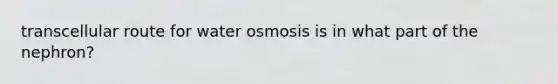 transcellular route for water osmosis is in what part of the nephron?