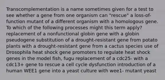 Transcomplementation is a name sometimes given for a test to see whether a gene from one organism can "rescue" a loss-of-function mutant of a different organism with a homologous gene. To which of the following processes might this term apply? replacement of a nonfunctional globin gene with a globin pseudogene substitution of a drought-resistant gene from potato plants with a drought-resistant gene from a cactus species use of Drosophila heat shock gene promoters to regulate heat shock genes in the model fish, fugu replacement of a cdc25- with a cdc13+ gene to rescue a cell cycle dysfunction introduction of a human WEE1 gene into a yeast culture with wee1- mutant yeast