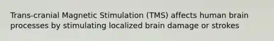 Trans-cranial Magnetic Stimulation (TMS) affects human brain processes by stimulating localized brain damage or strokes