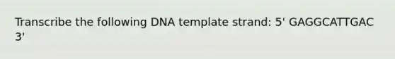 Transcribe the following DNA template strand: 5' GAGGCATTGAC 3'