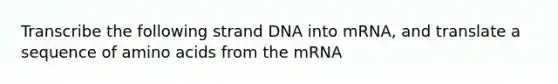 Transcribe the following strand DNA into mRNA, and translate a sequence of amino acids from the mRNA