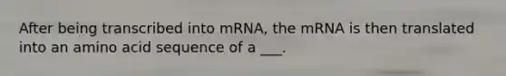 After being transcribed into mRNA, the mRNA is then translated into an amino acid sequence of a ___.